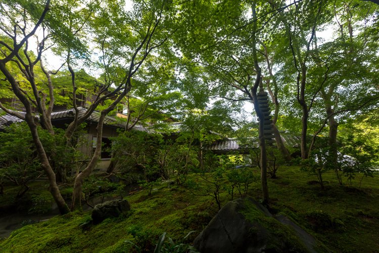 瑠璃光院_e0051888_715737.jpg