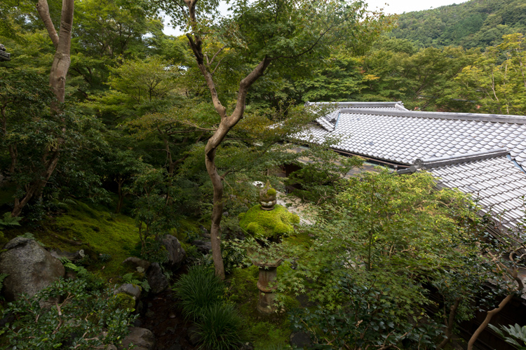 瑠璃光院_e0051888_7163768.jpg