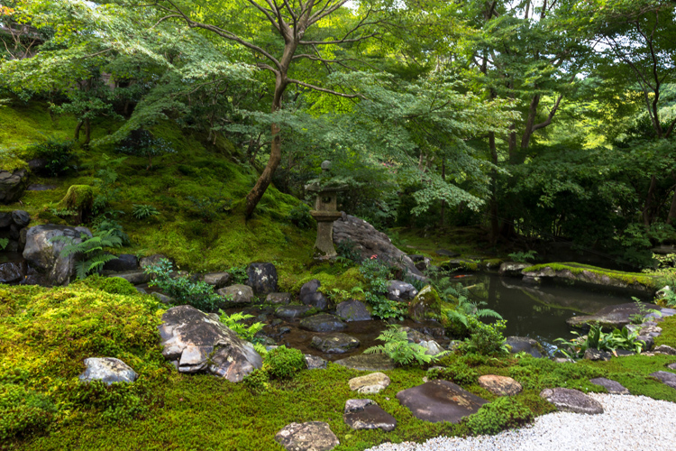 瑠璃光院_e0051888_717515.jpg
