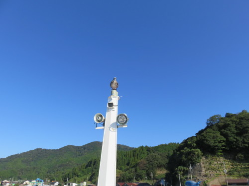 f0204295_14250967.jpg