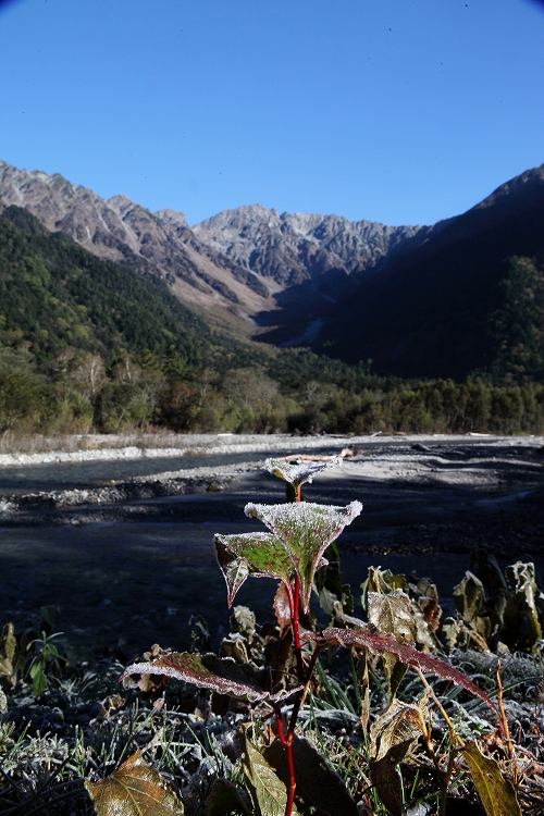 氷点下　～上高地～_f0368904_0483199.jpg