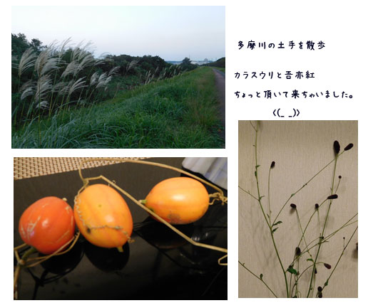 庭での事_c0051105_2338454.jpg