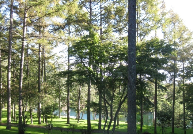 b0183111_06405411.jpg