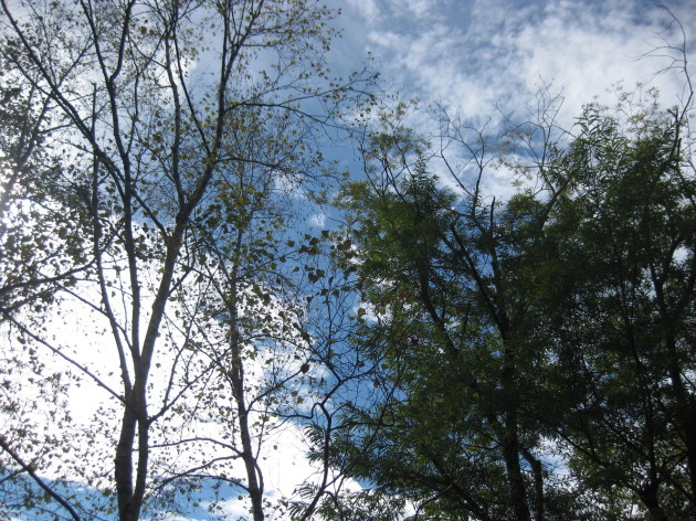 b0183111_21494463.jpg