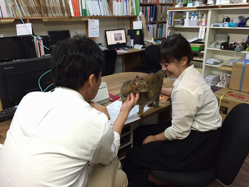打ち合わせのはずが…_b0131012_1462943.jpg