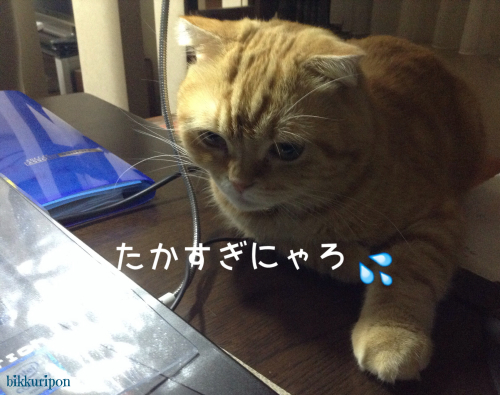 d0344913_09542617.jpg