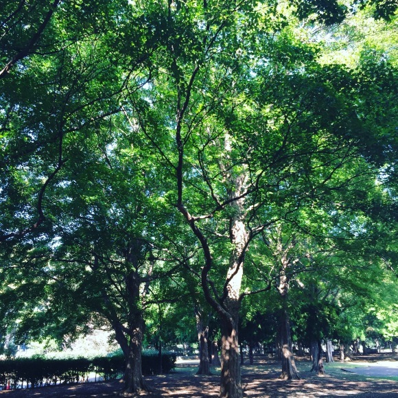 f0017613_18483155.jpeg