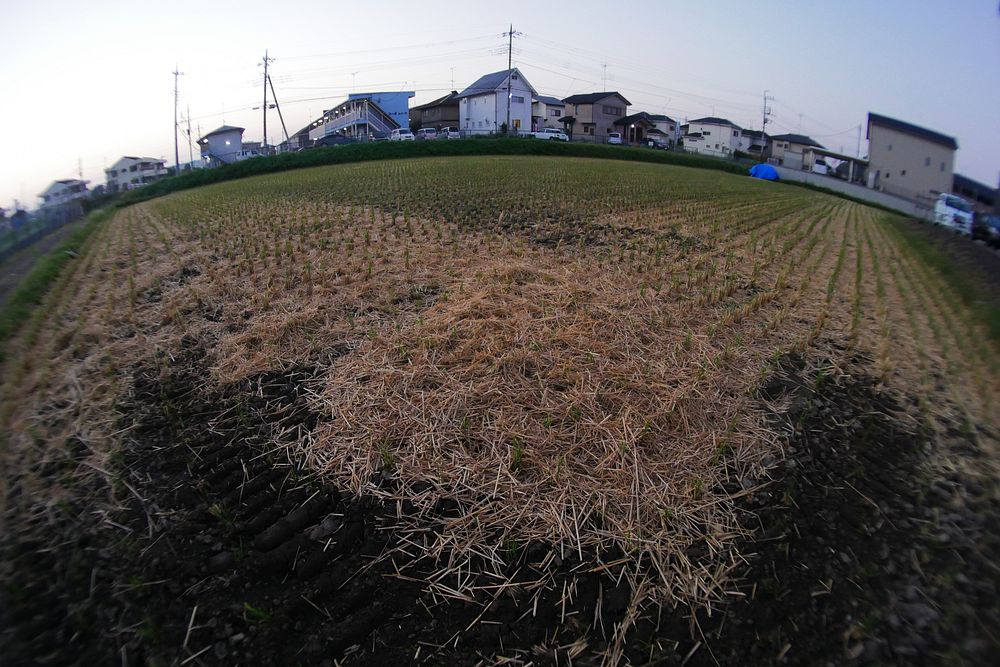 快晴の朝散歩に8mm魚眼を持ち出す_a0031821_16195483.jpg