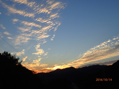 e0138321_057780.jpg