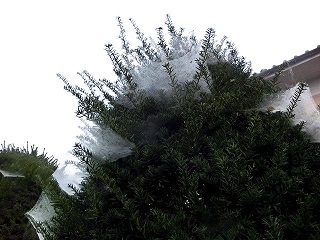 e0234924_13355970.jpg