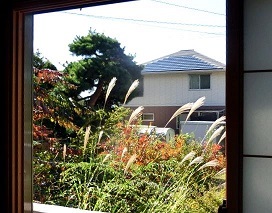 e0234924_13425519.jpg