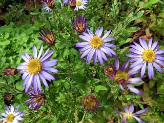 e0234924_13530918.jpg