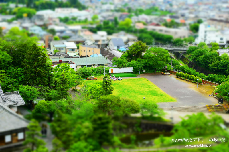 掛川城から、こんにちは_e0131432_20450562.jpg
