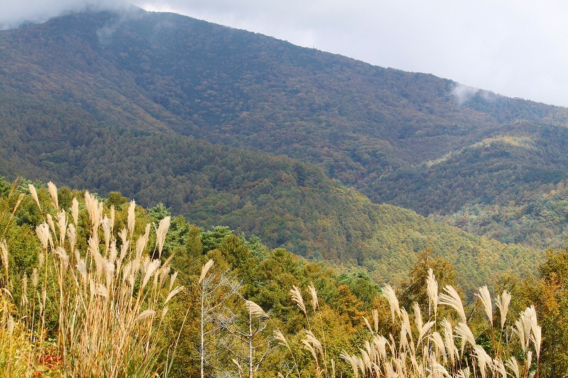 a0269341_10590911.jpg