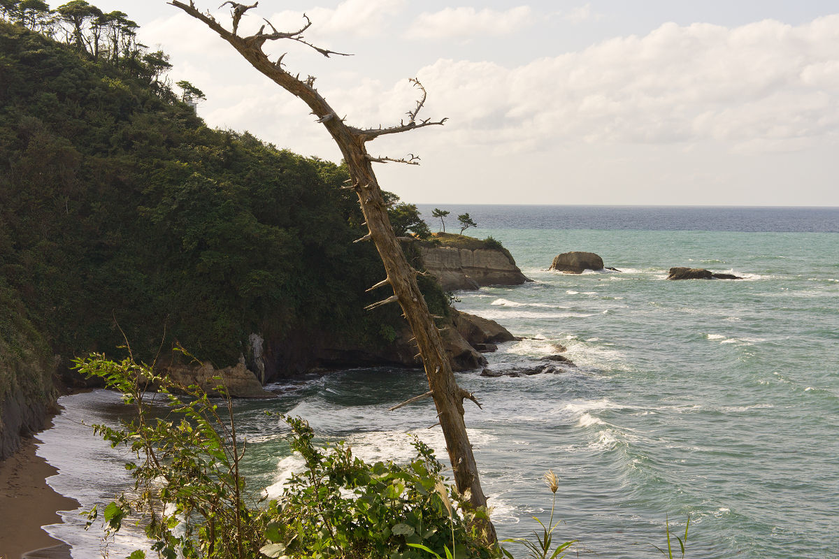 f0377241_18074718.jpg