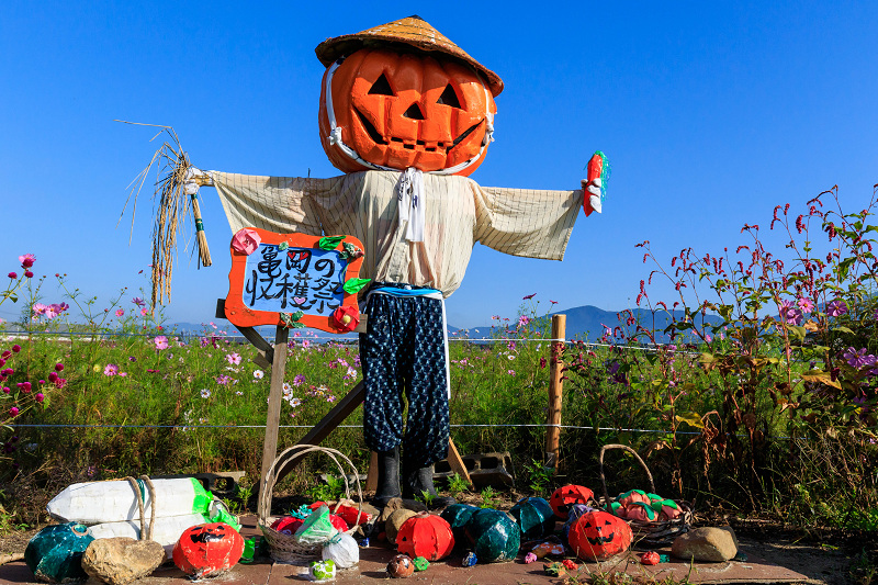 亀岡・夢コスモス園の案山子たち_f0155048_23293533.jpg