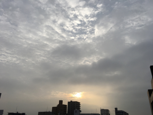 d0148449_09381827.jpg