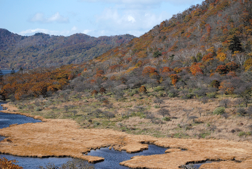 10月20日 赤城山紅葉 2016 鳥居峠_a0001354_20371818.gif