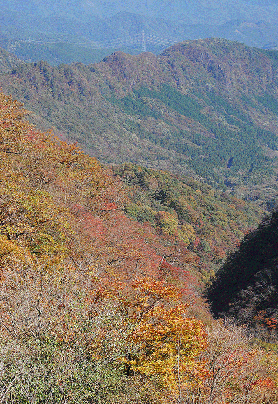 10月20日 赤城山紅葉 2016 鳥居峠_a0001354_20375497.gif