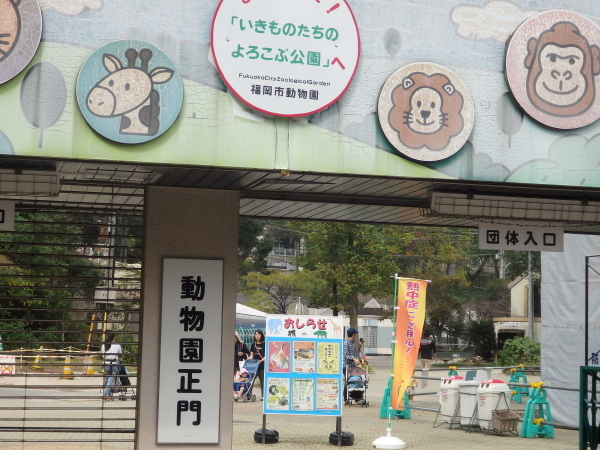 福岡市動物園のサイがなくなりました_f0337554_15000090.jpg