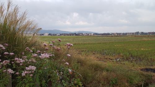 10月20日おはようございます…今日は朝養浩館、昼鷹巣です。_e0327460_06262389.jpg