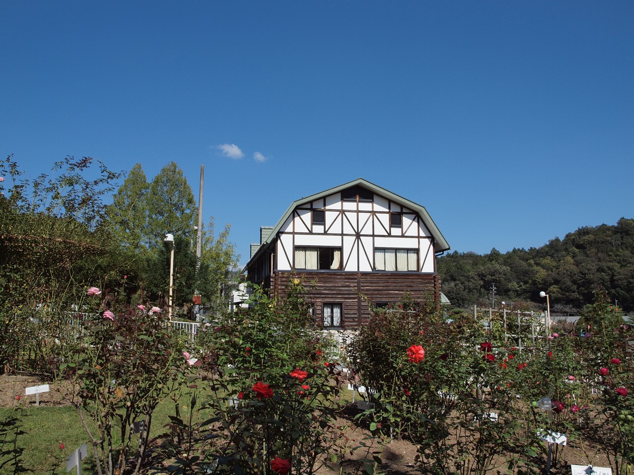 d0054276_2055079.jpg