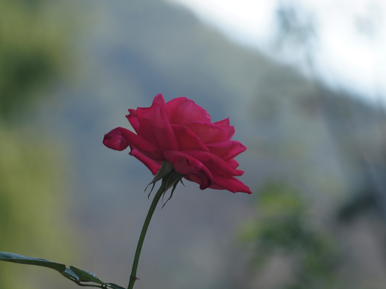 d0054276_2092526.jpg