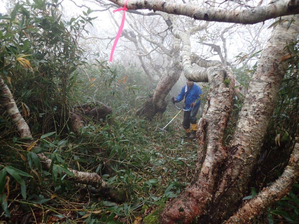 増毛山道「ササ刈り」山行＝①2016年9月16日Ｎ～19日、②10月8日～10日_a0141678_0385671.jpg