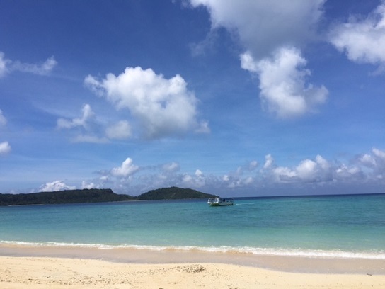 西表島 5_f0202682_14205434.jpg