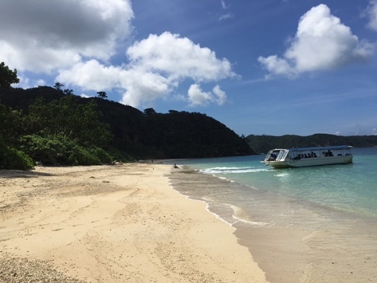 西表島 5_f0202682_14212412.jpg