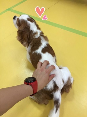 お泊り中も元気ですヽ(。>▽<。)ノ_f0357682_11094697.jpg