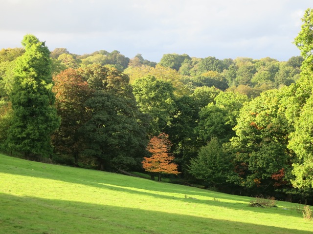 a0208783_4205999.jpg