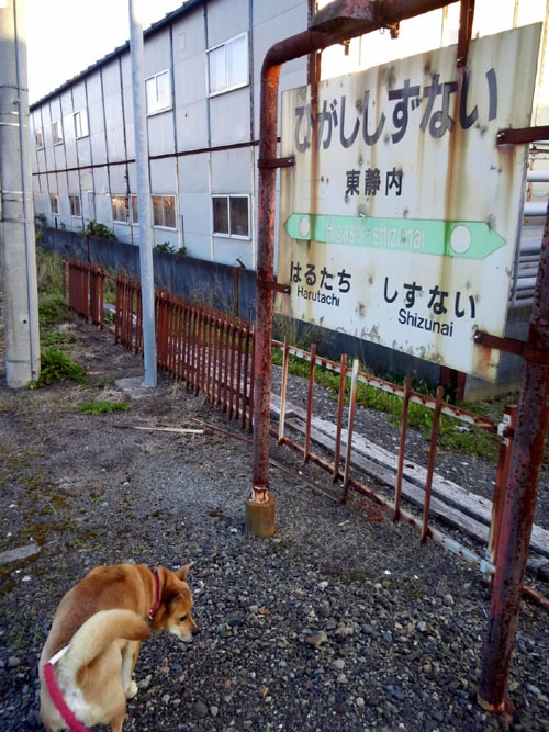 朝から雷雨、急に寒くなりました_b0059684_19232132.jpg