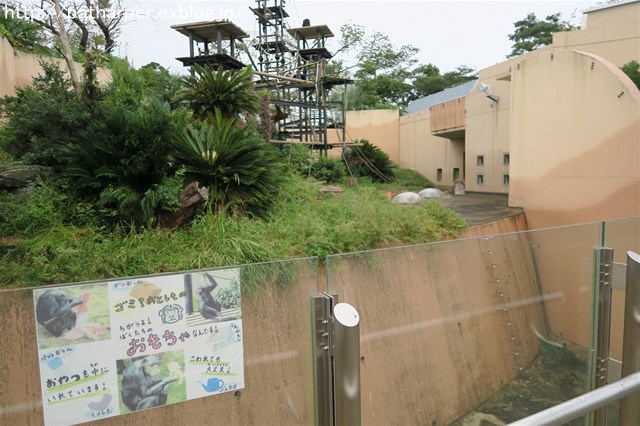 ２０１６年１０月　かみね動物園　その２_a0052986_730234.jpg