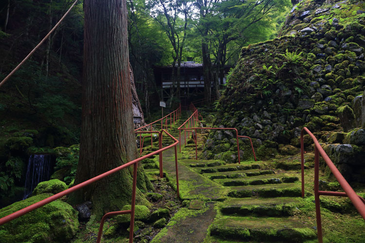 阿弥陀寺_e0051888_22481516.jpg