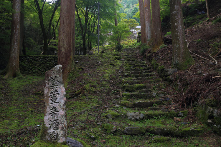 阿弥陀寺_e0051888_224818.jpg