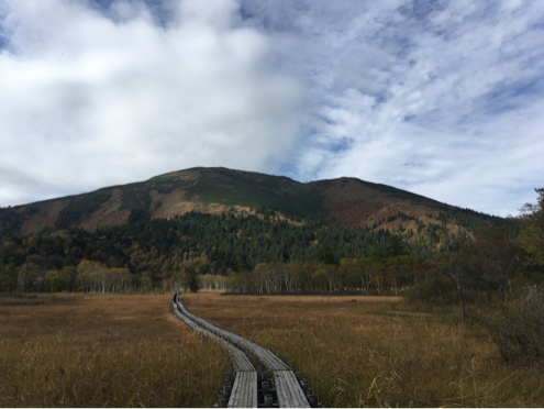 草紅葉の尾瀬ヶ原_d0261589_13010824.jpg