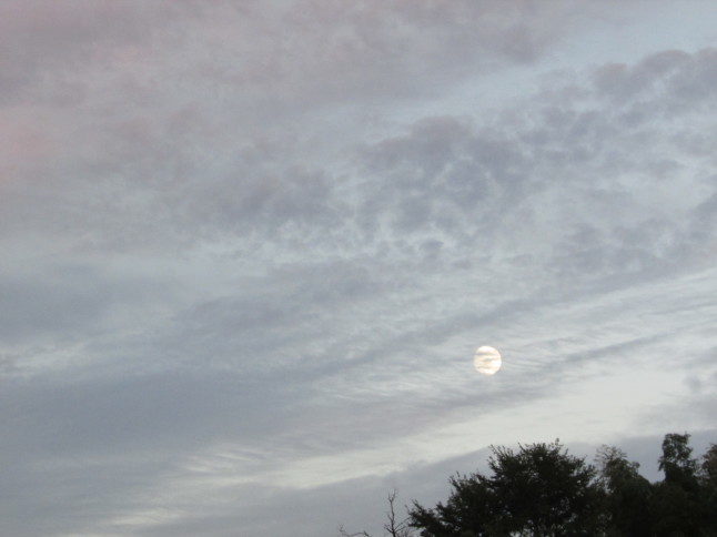 c0335990_10164390.jpg