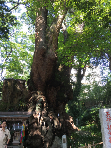 道場で武術・医術の稽古。熱海・来宮神社に参拝。_a0112393_23310207.jpg