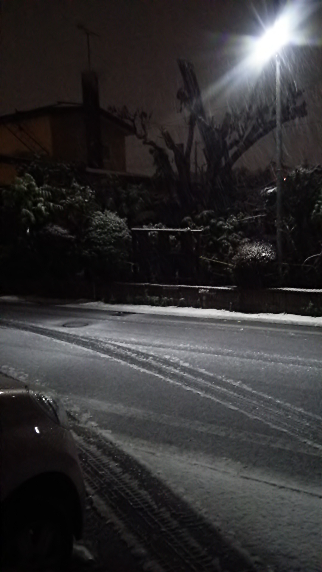 初雪_b0343293_22444761.jpg