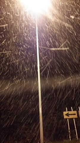 初雪_b0343293_22462072.jpg