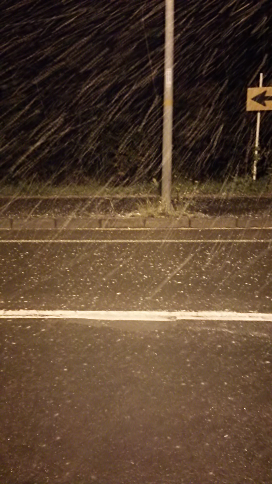 初雪_b0343293_22464262.jpg