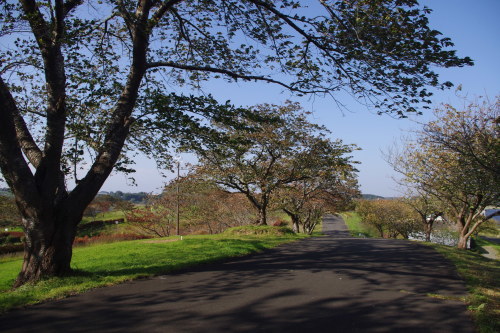 c0337494_16500664.jpg