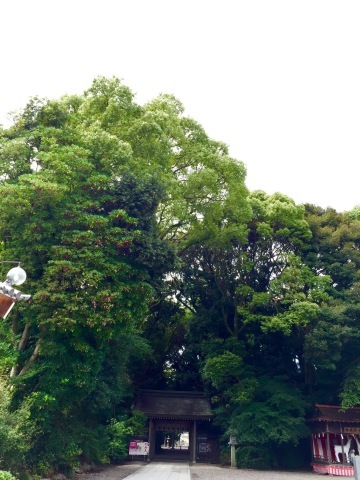 豊川市「砥鹿神社」_c0313998_11334828.jpg