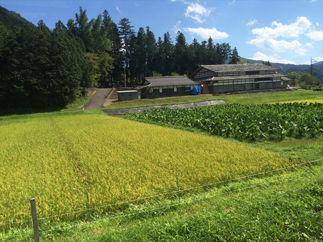 筑波大学加子母ツアー2016　その③_f0073301_11464082.jpg