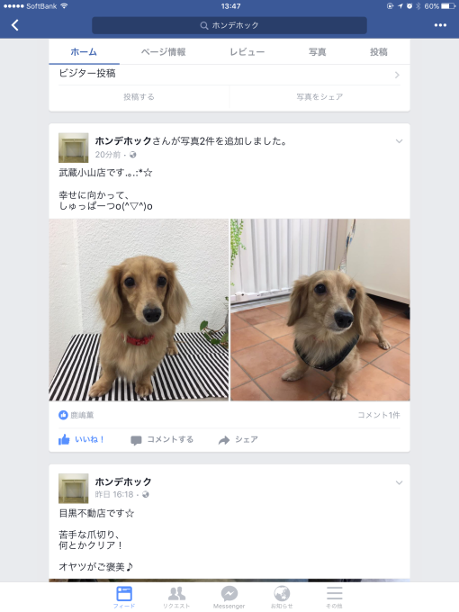 a0332203_18491507.png