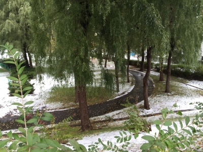 b0358212_13263116.jpeg