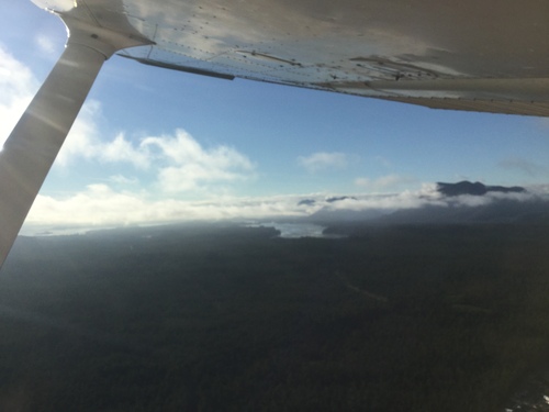 c0018716_1618145.jpg