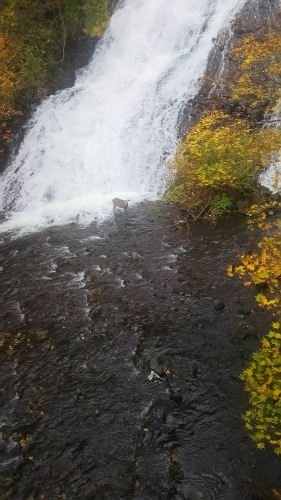 b0314620_13112193.jpg