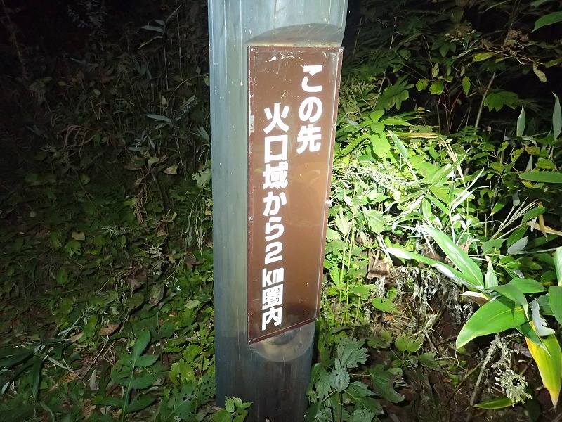 e0284726_21275346.jpg